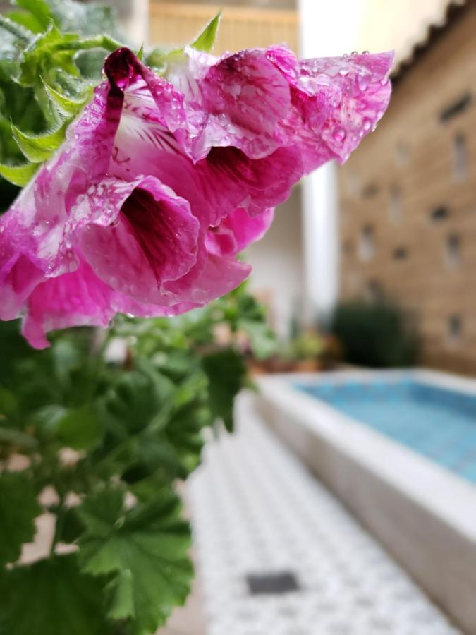Готель Casa Carmen Сан-Крістобаль-де-лас-Касас Екстер'єр фото