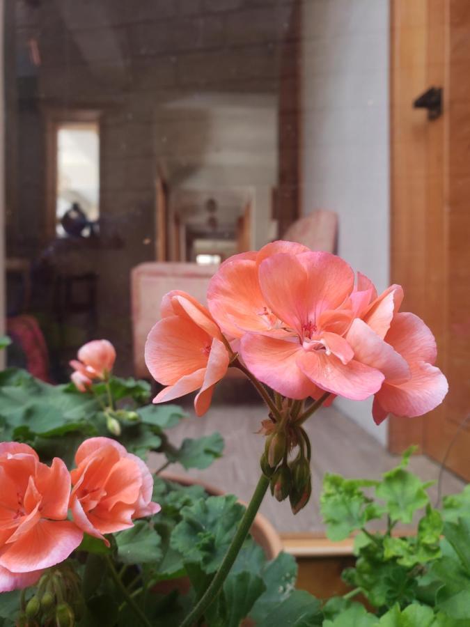 Готель Casa Carmen Сан-Крістобаль-де-лас-Касас Екстер'єр фото